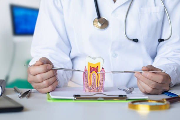 Best Emergency Wisdom Tooth Extraction in Williamstown, KY